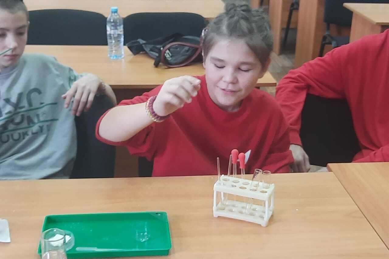 10 ������ ������������ ������� ������ 