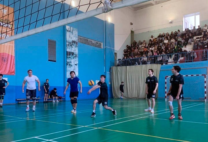 ������������ ���������� ������������ ������������ �������� ������� ������� ����