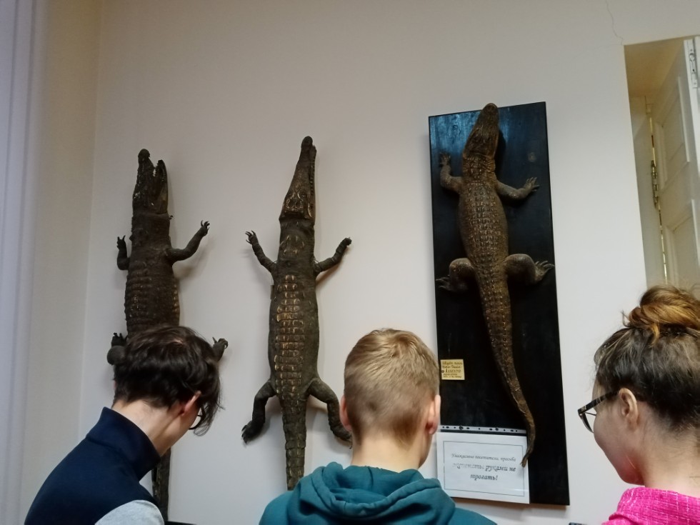 Поход в зоологический музей Поход в зоологический музей