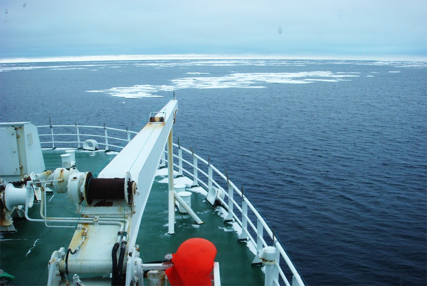 Арктические просторы с борта научно-исследовательского судна Новый вид арктического осьминогаоткрыт зоологами КФУ