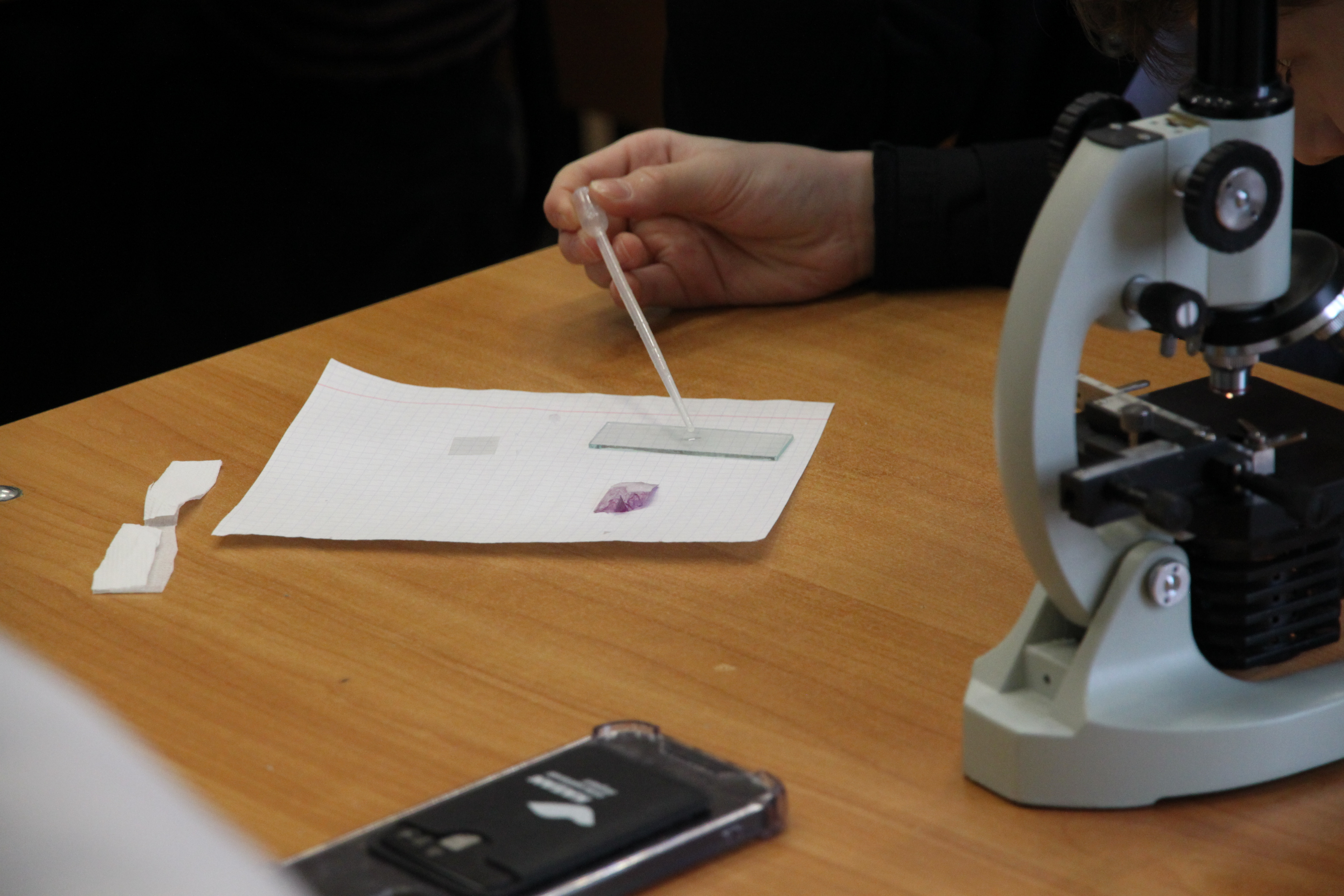 ���� ����� � ����� ����� �.�. ������������ ��� ,2022-2023 ������� ���, �����������, ��������