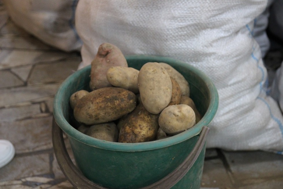 ��������� ����������� ��������� ��� ������� ����������������� ������