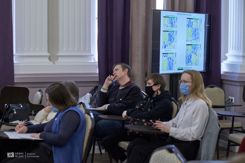 Конференция Конференция