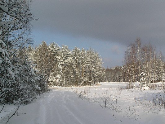 11 ������ - ������������� ���� ������������ � ������������ ������