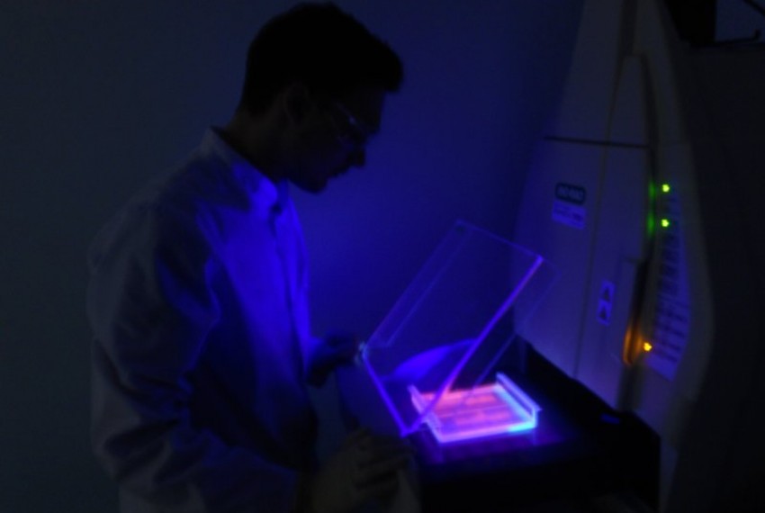 ������� ��������