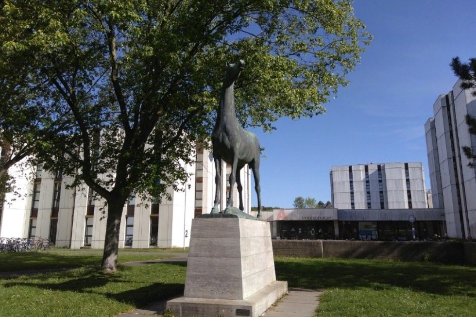 Научно-образовательный опыт Европы Научно-образовательный опыт Европы