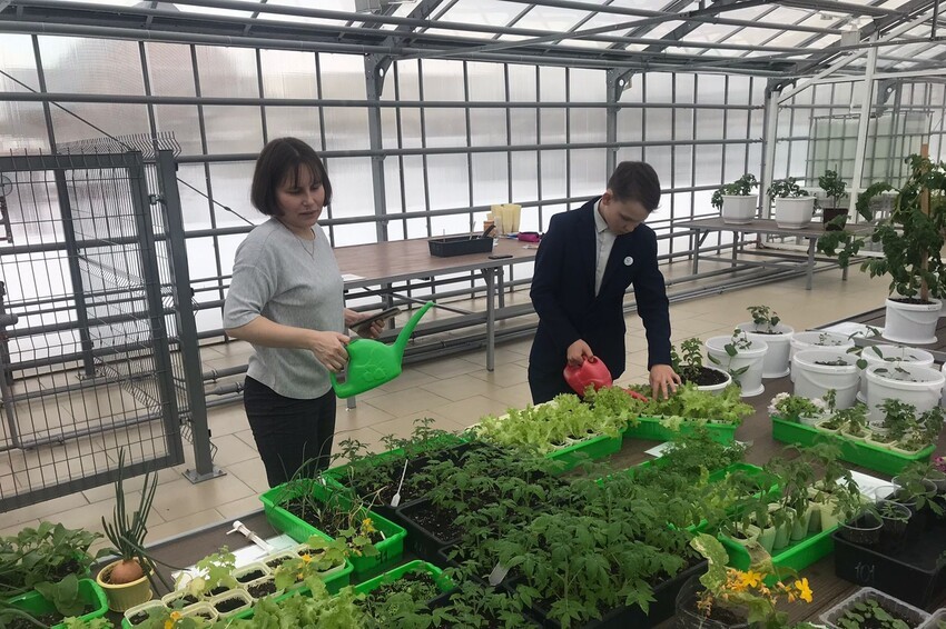 ������ ����������� ��������� ���������� ������������ ������������ ����� ������������ �������� '������� �����' �������� '��������'