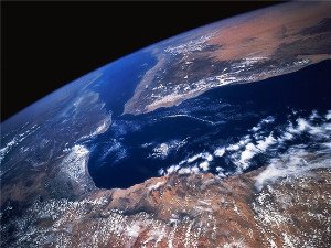 Живые растения в космосе - миф или реальность? Живые растения в космосе - миф или реальность?