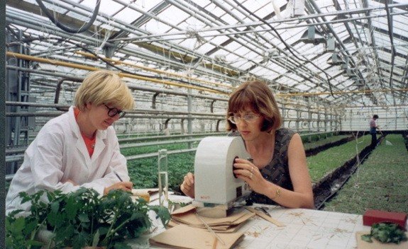 ����������� ����������� ����� � ������������ ��������