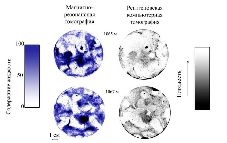 Department of Molecular Physics Department of Molecular Physics