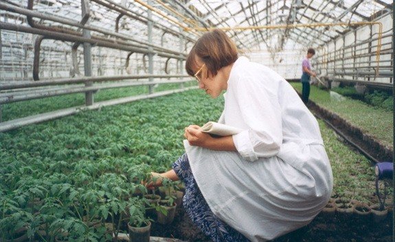 ����������� ����������� ����� � ������������ ��������