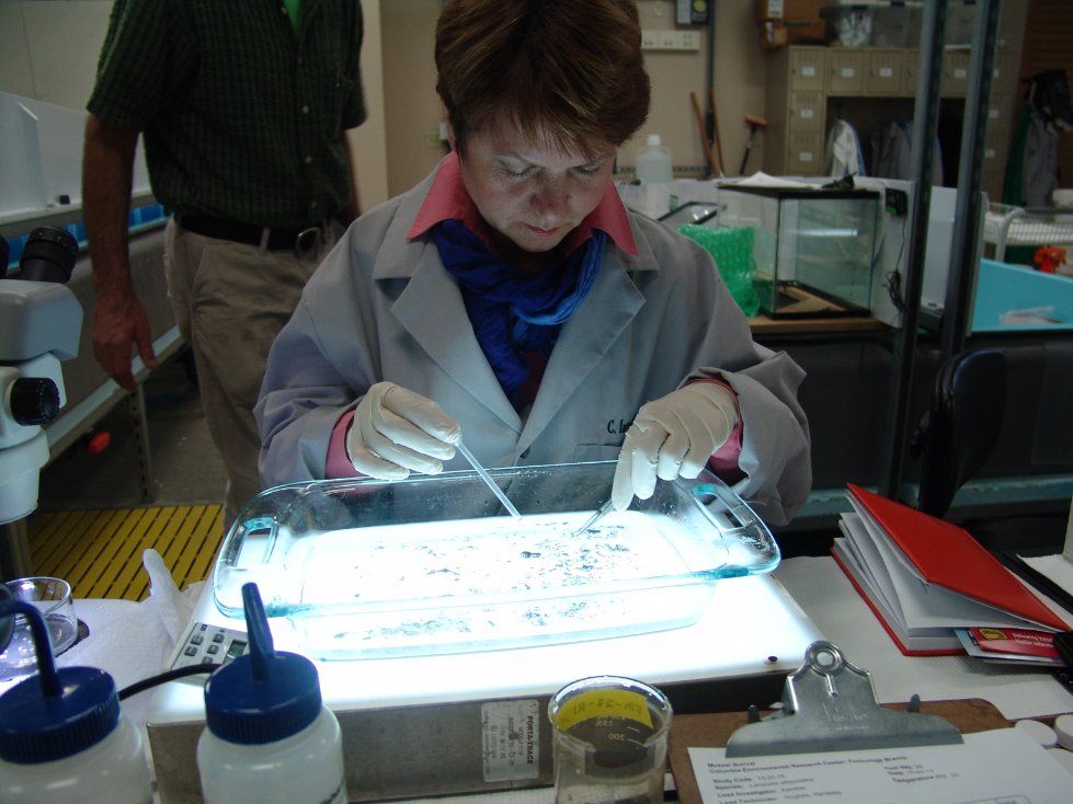 ��������� ������� ���������� �������� ������� ��������� ������ ���������� � ������-����������������� ������ ������ ���������� ����� ������������� ������ ���