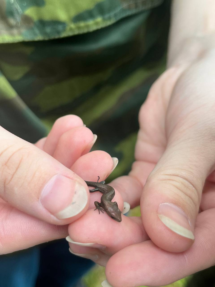 ������ � ������ ���������� �������?