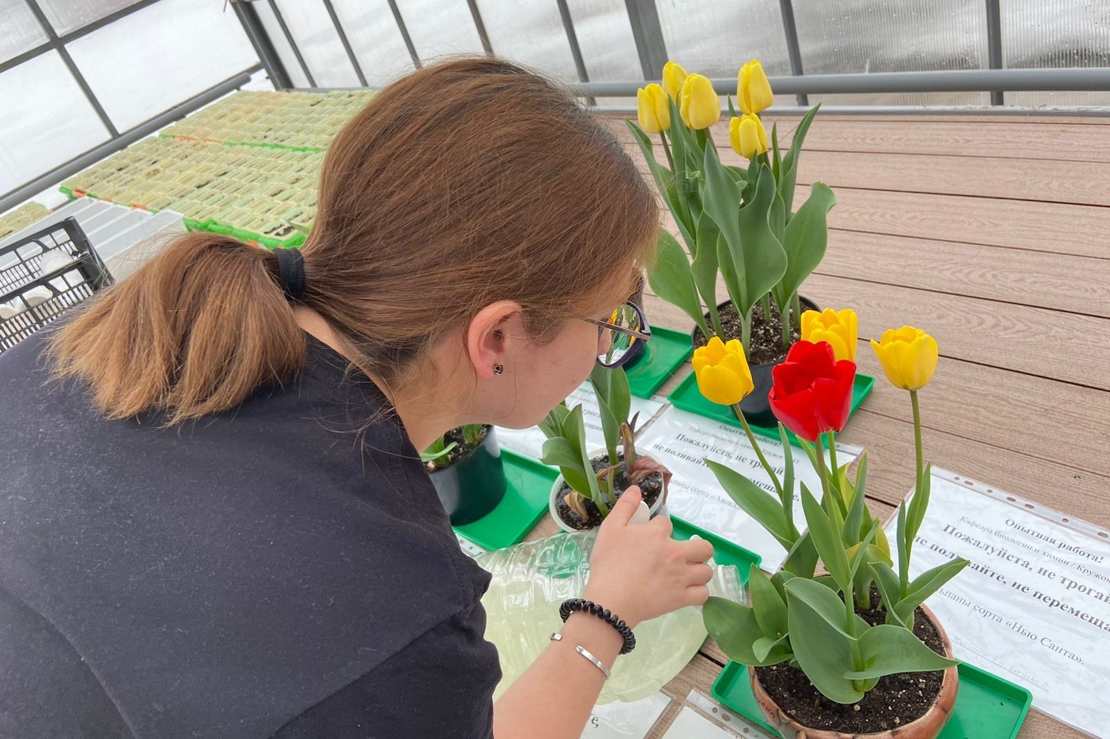 ��������, ���������� ������ ������