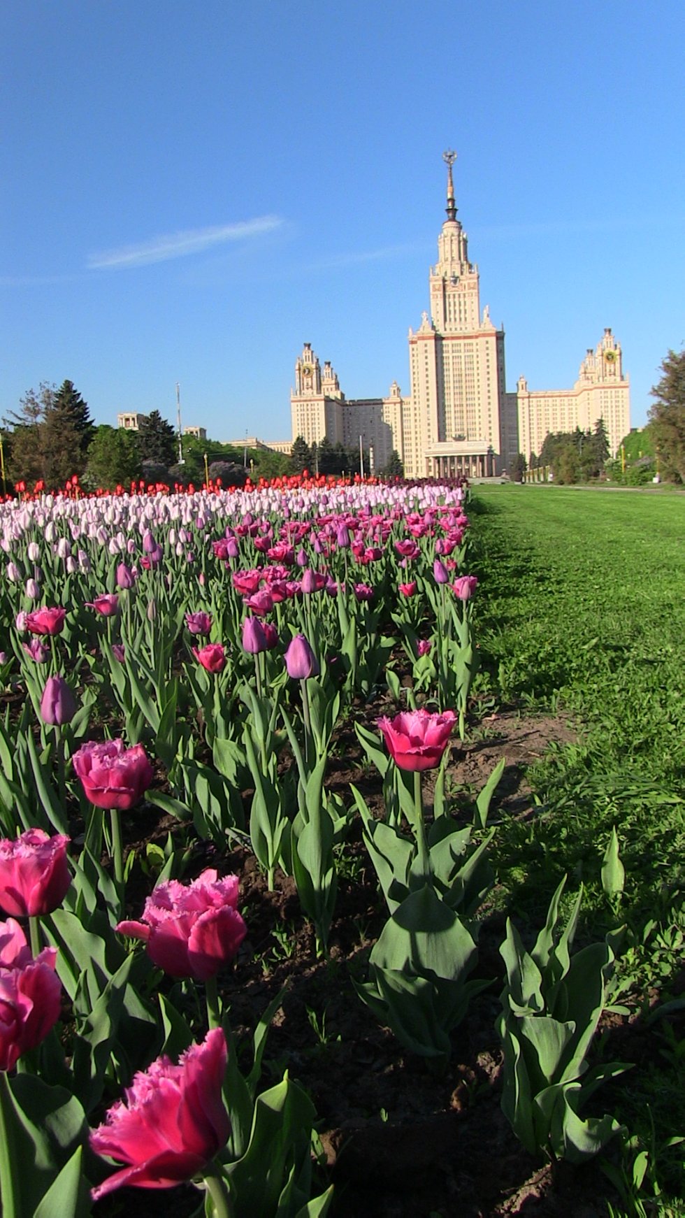 A student of Institute of Philology and Intercultural Communication has won the All-Russian Turkish Language Olympiad