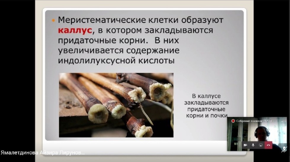 В Елабужском институте КФУ завершилась 51-ая Итоговая научно-образовательная конференция В Елабужском институте КФУ завершилась 51-ая Итоговая научно-образовательная конференция