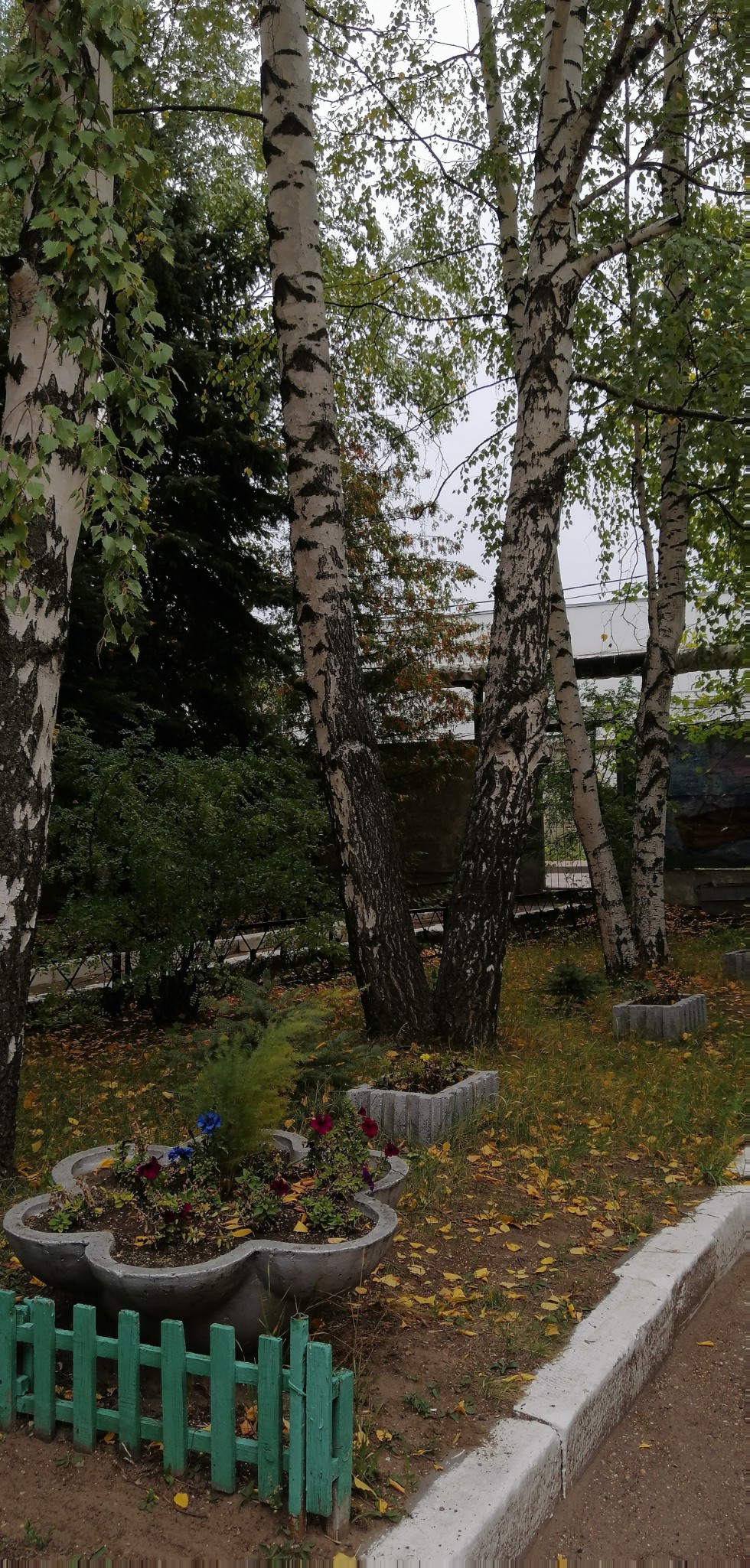 �����������