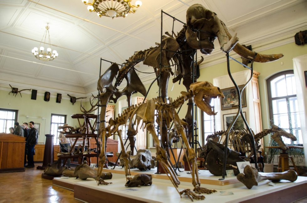 История коллекции История коллекции