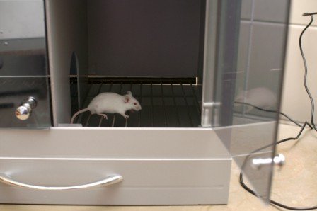 ������ '������ ���������� � ������������� �����'