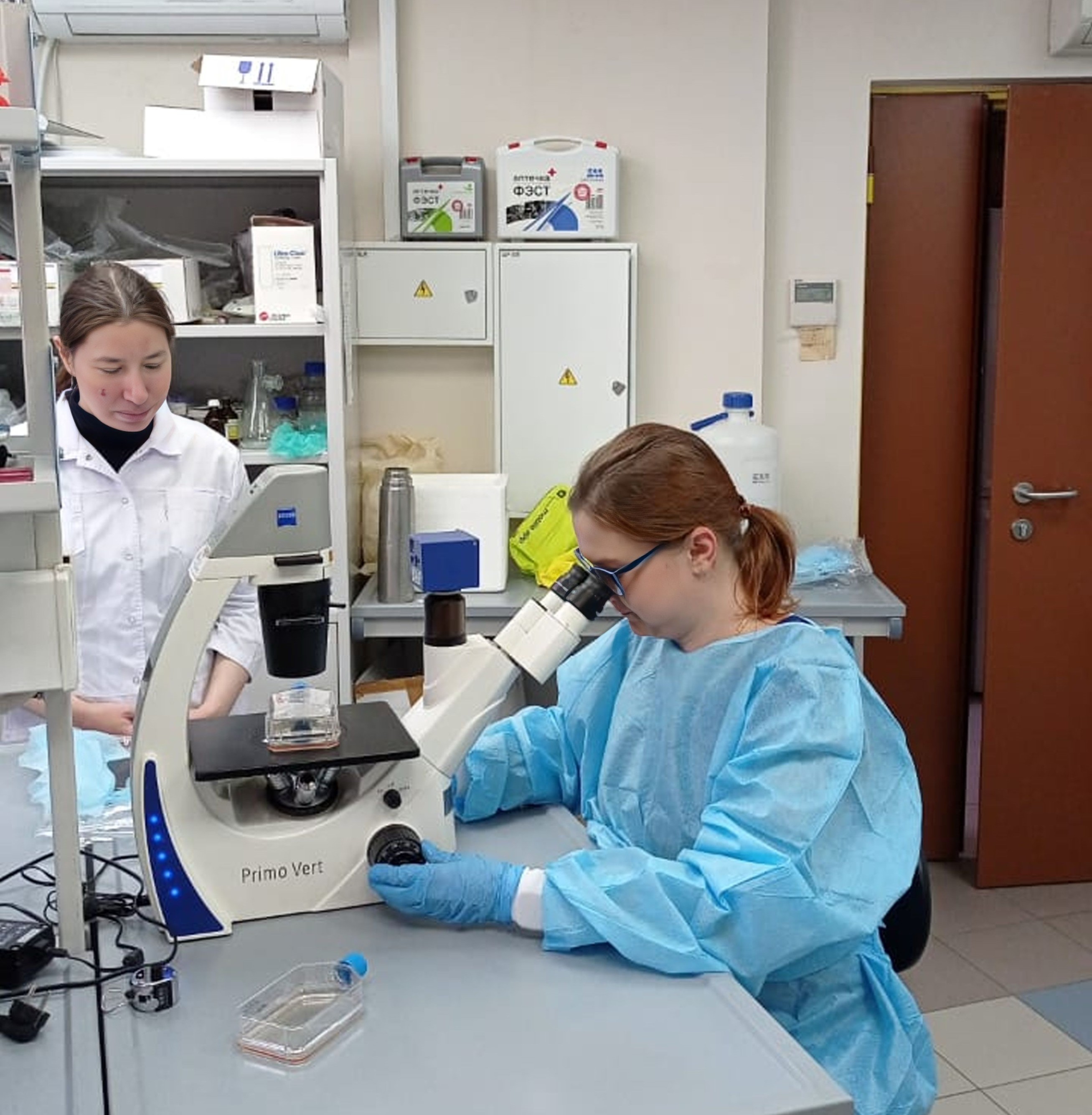 ���� �� ������� ��������������� � ����������� � ����������� ������ �������������