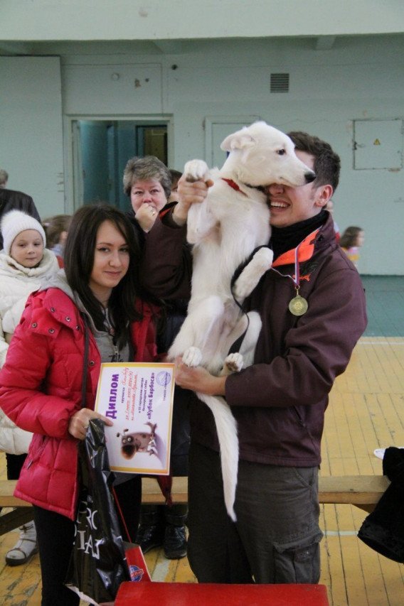 Активисты СТО на 'Смотре беспородных собак' Активисты СТО на 'Смотре беспородных собак'