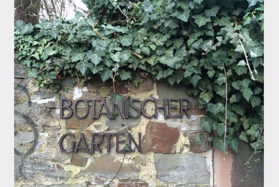 ������� ���������� �� ����������� ���������� � ����������� ����������������� ������������� ��� ������������ ��. ������-������ (������, ��������)