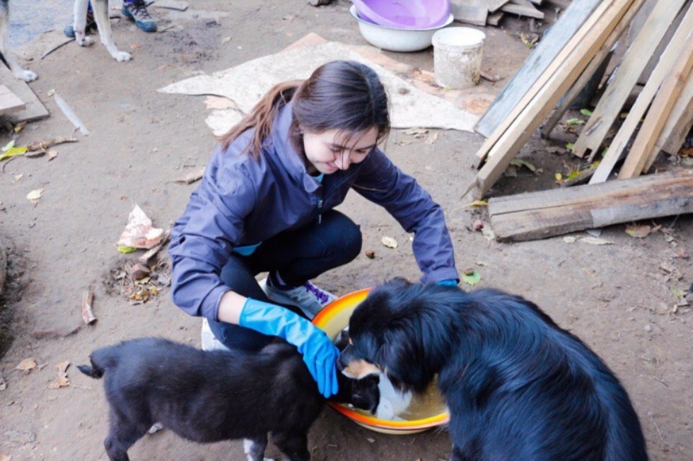 Профбюро юридического факультета Профбюро юридического факультета