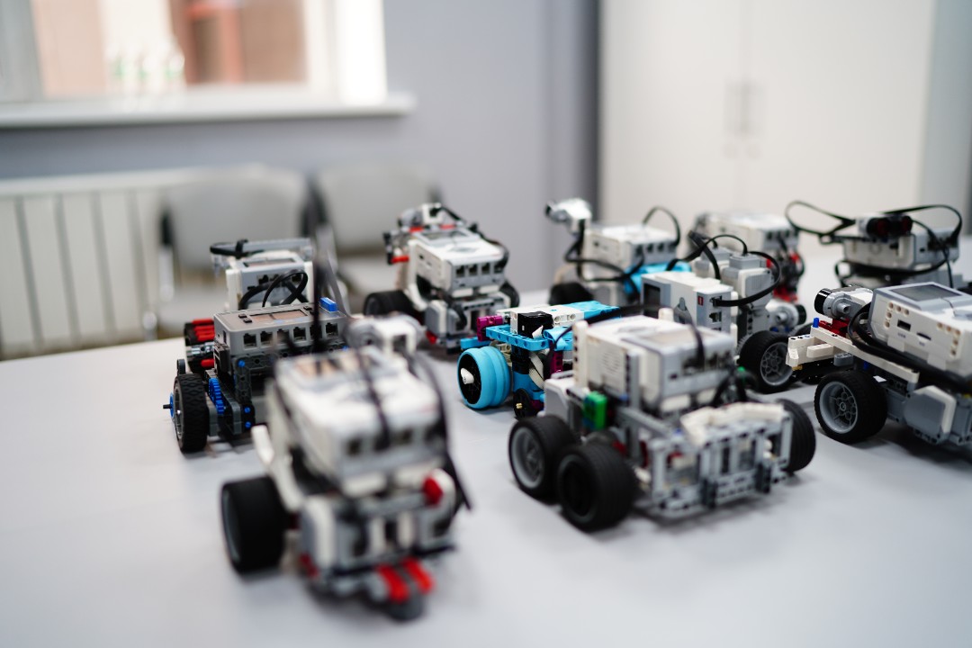 �����������