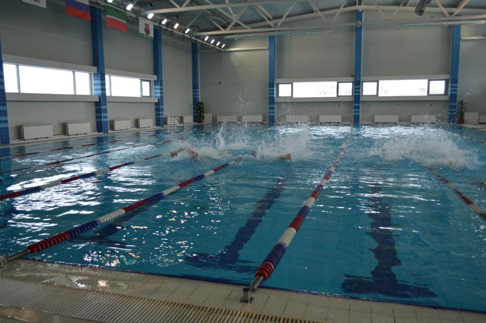 � �������� ���� - �������� ���