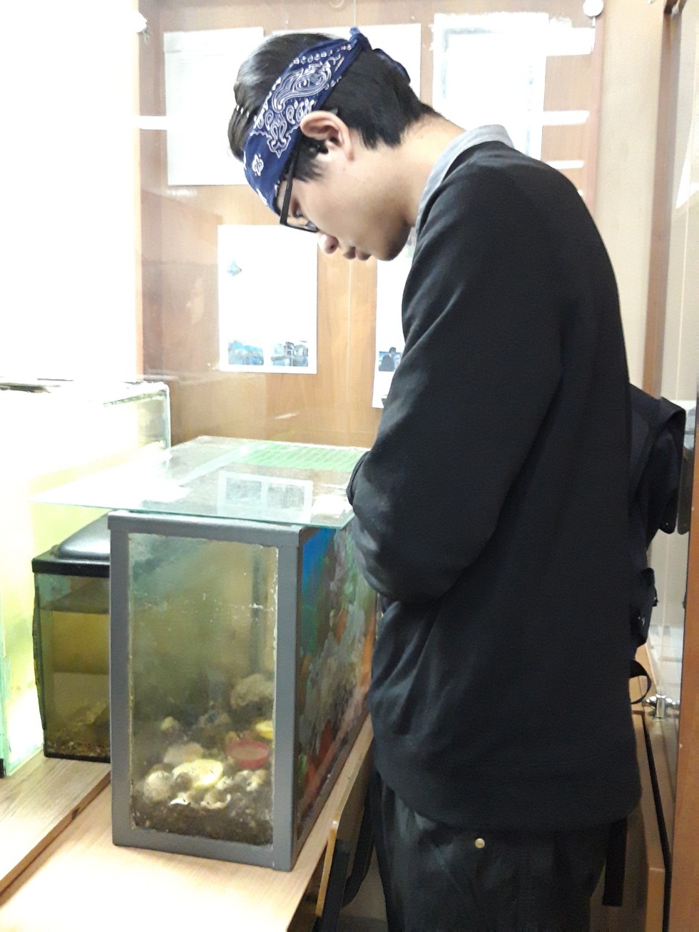 ������ � ����� ��������� ��������� � ����������