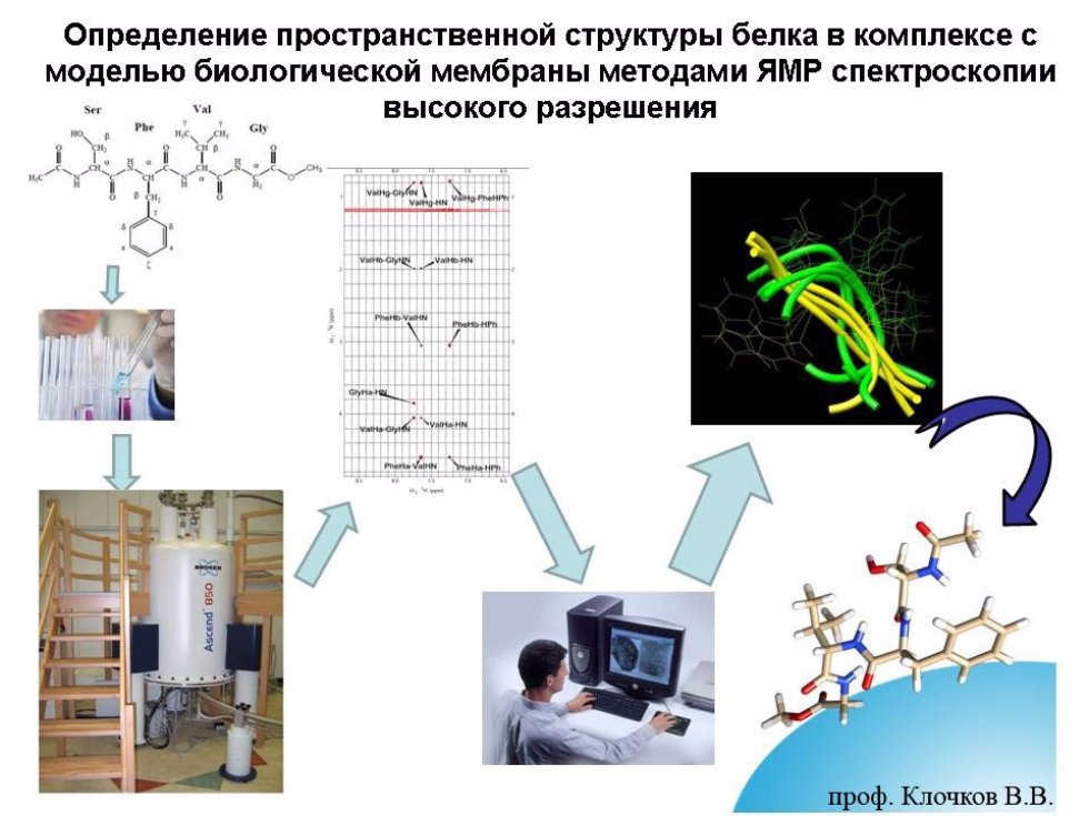 ������� ������������