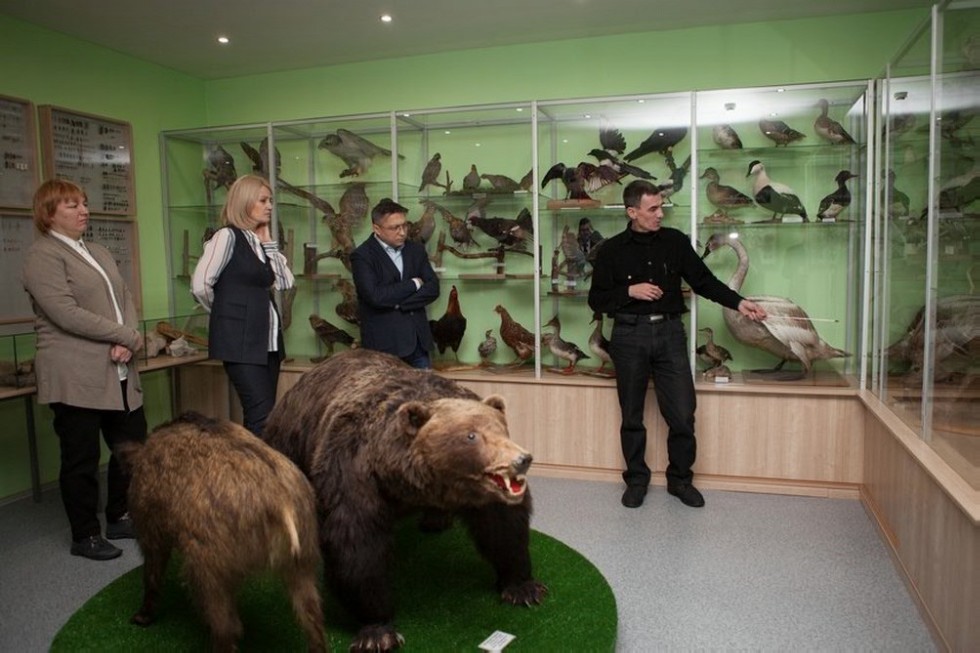 Выставочный зал зоологии Выставочный зал зоологии