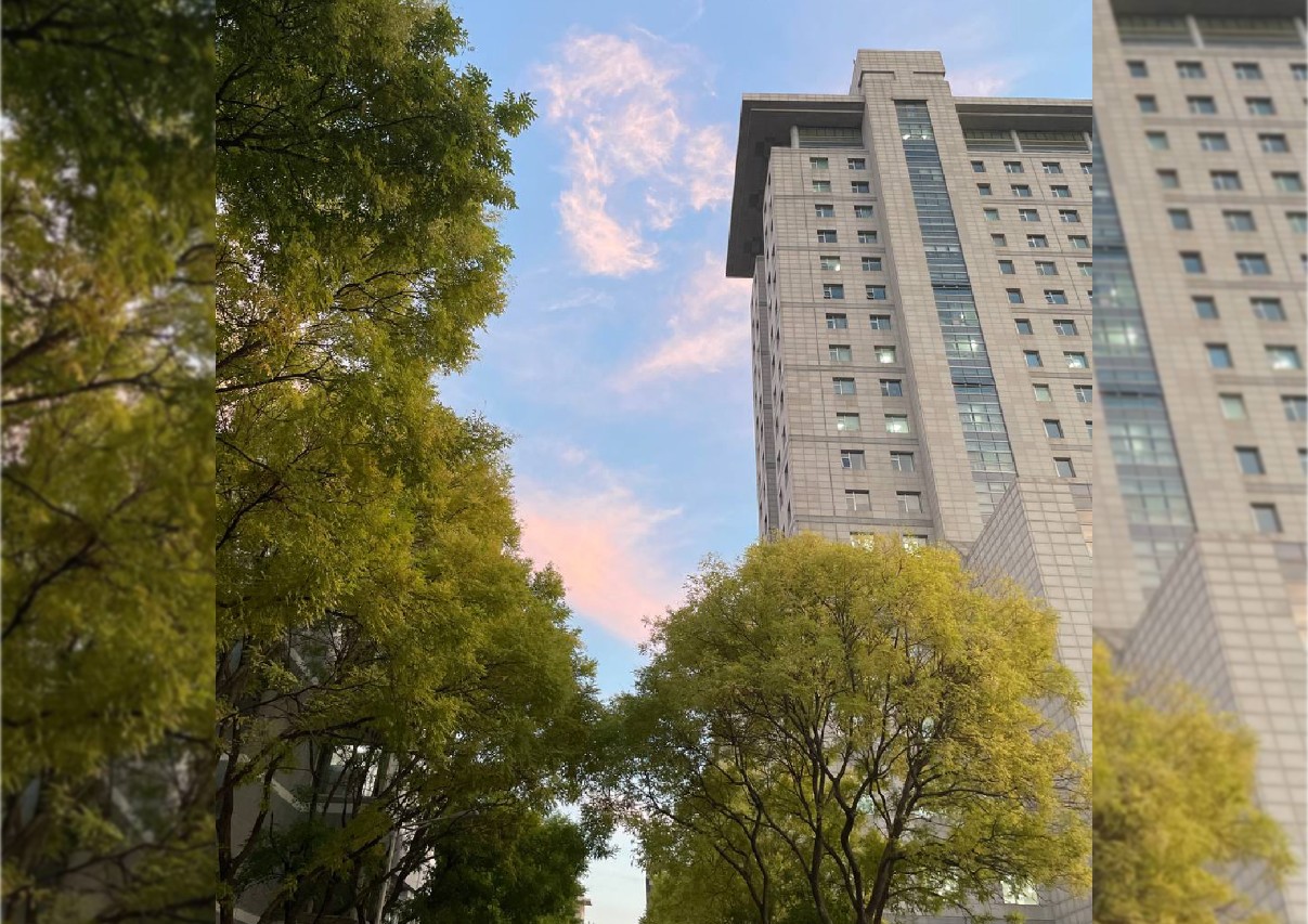 Студенты Елабужского института КФУ проходят стажировку в Пекинском педагогическом университете Студенты Елабужского института КФУ проходят стажировку в Пекинском педагогическом университете