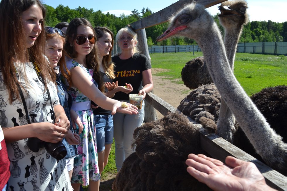 ������� � ������� ����� ������