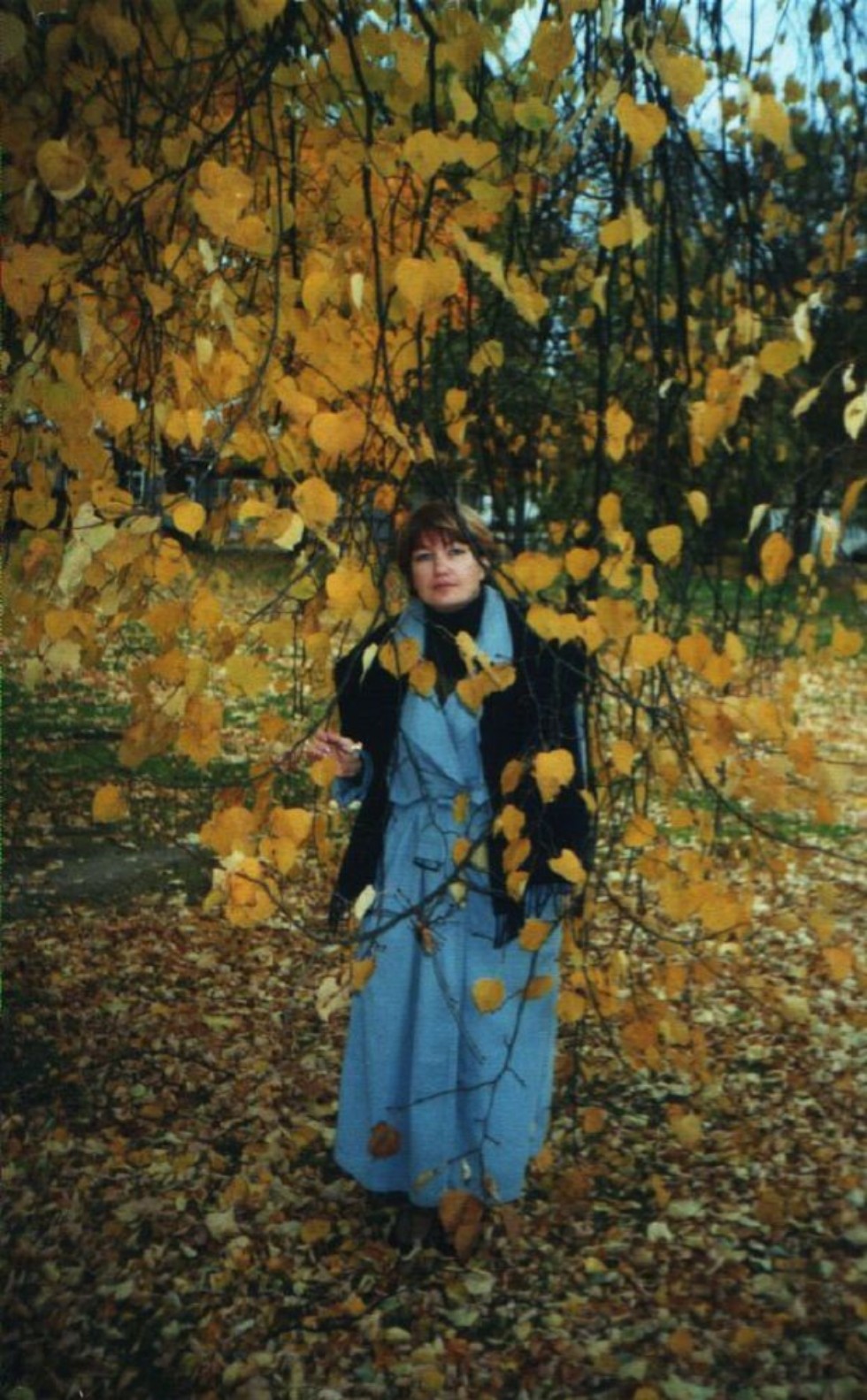 � ����� ������ � ��������� � ������� ���������