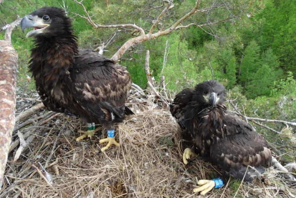 ������ ����������� ��������� ��� ��������� �������� �� ���������� �� ���������