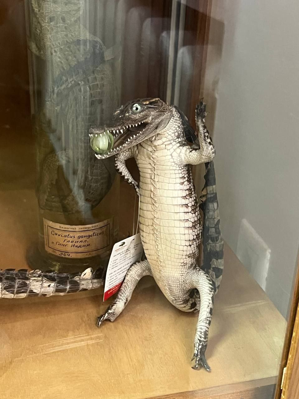 � ������ � �.�. ���������