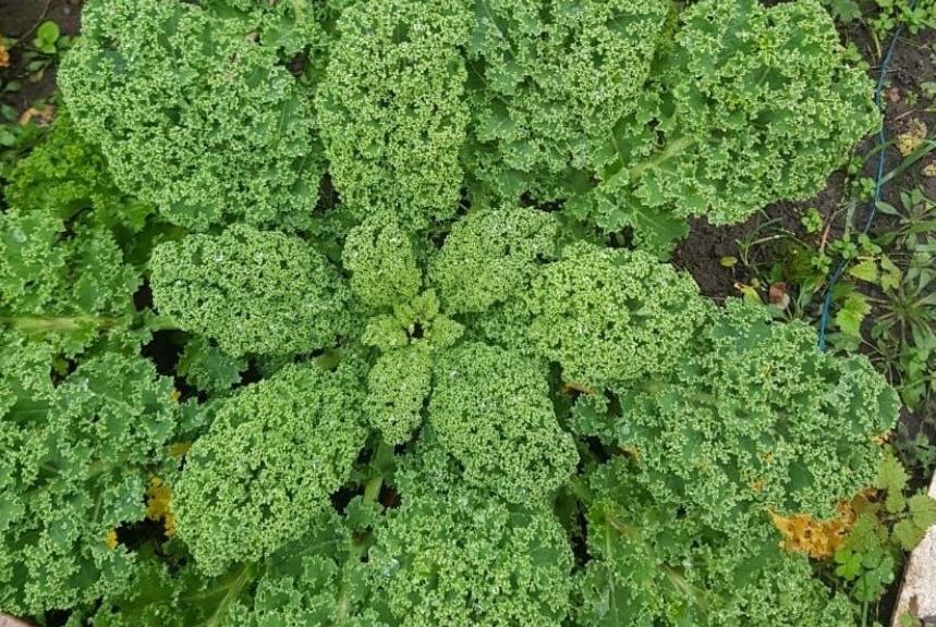 ������� ���� ���������� �� ���������� ���������� ��������� �������� ������ ��������� ������� � ������� ��������