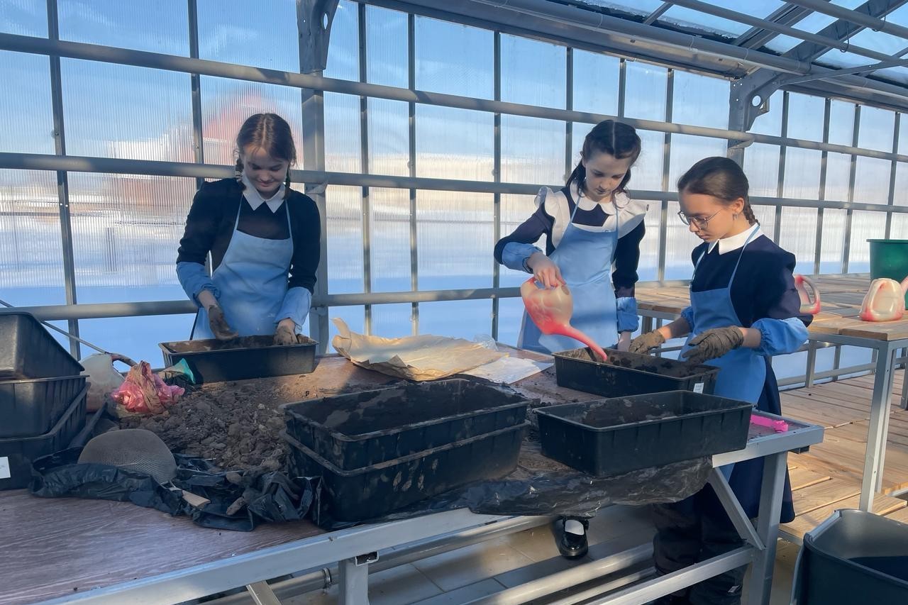 Катарантусы и нимфеи: школьники начали новый проект в теплице 'Университетской' школы Катарантусы и нимфеи: школьники начали новый проект в теплице 'Университетской' школы