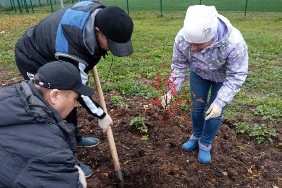 Саженцы в обмен на вторсырье Саженцы в обмен на вторсырье