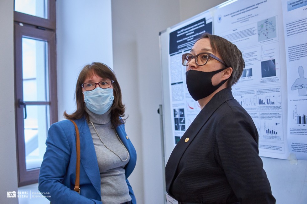 Конференция Конференция