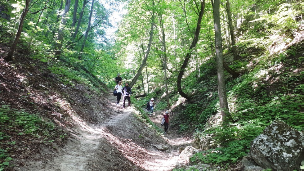 Физики - 'спелеологи' (2018г.) Физики - 'спелеологи' (2018г.)