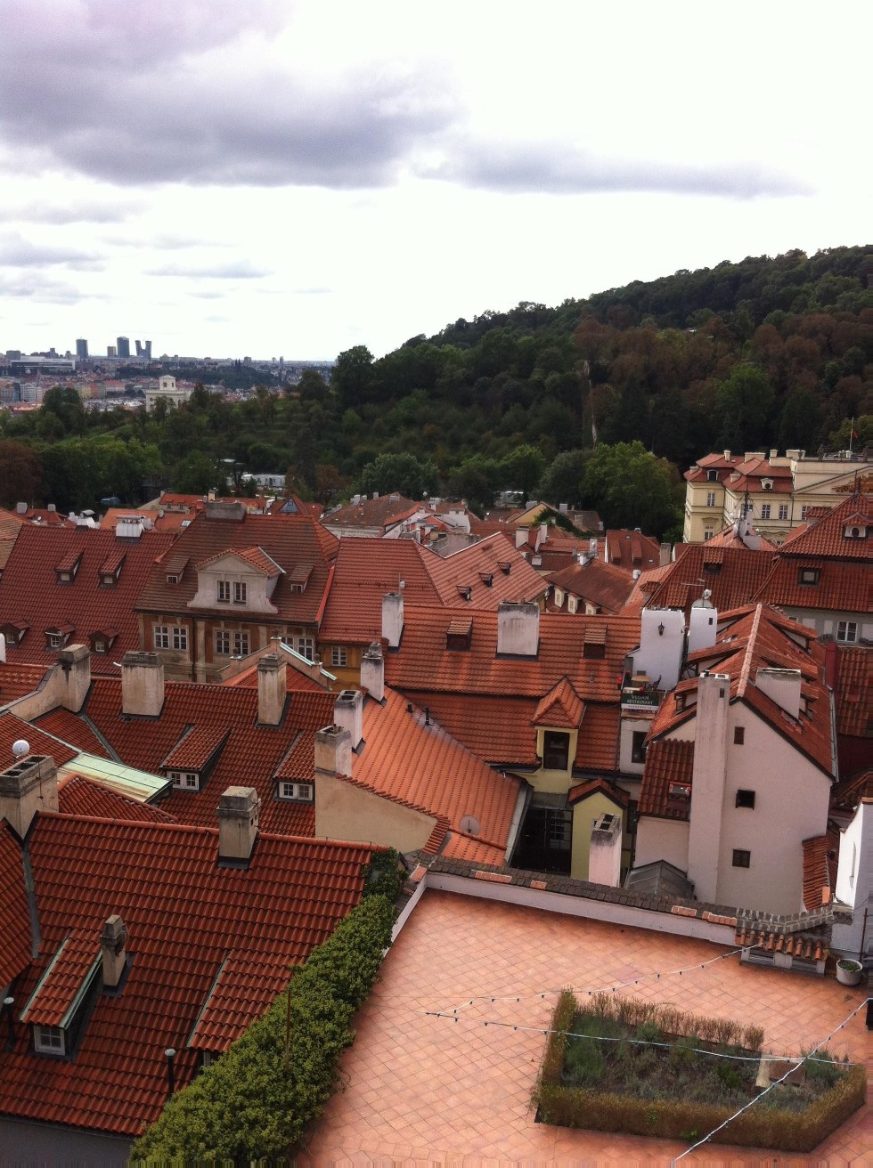 ����������� ���������� ���������� ���� � �������� ��������� ��������� ������������