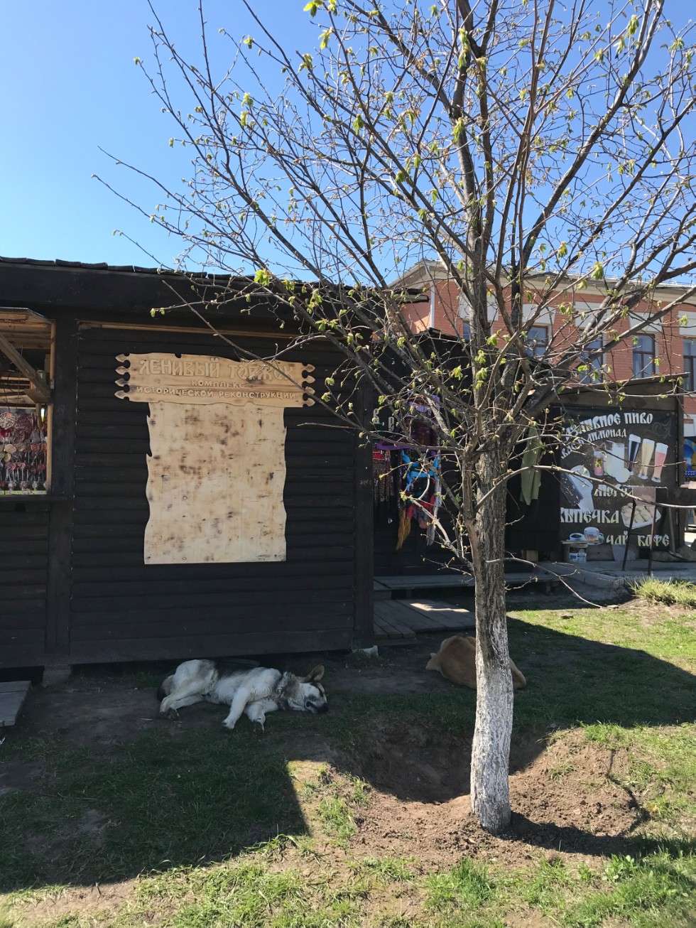 ������-����: ��������� ����������� � ����, ��� ������� ������������� �������