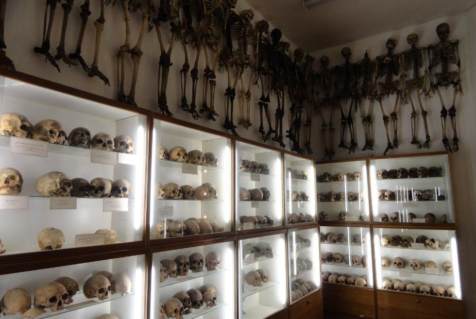 ����� ���������-����������� � ������������� �����