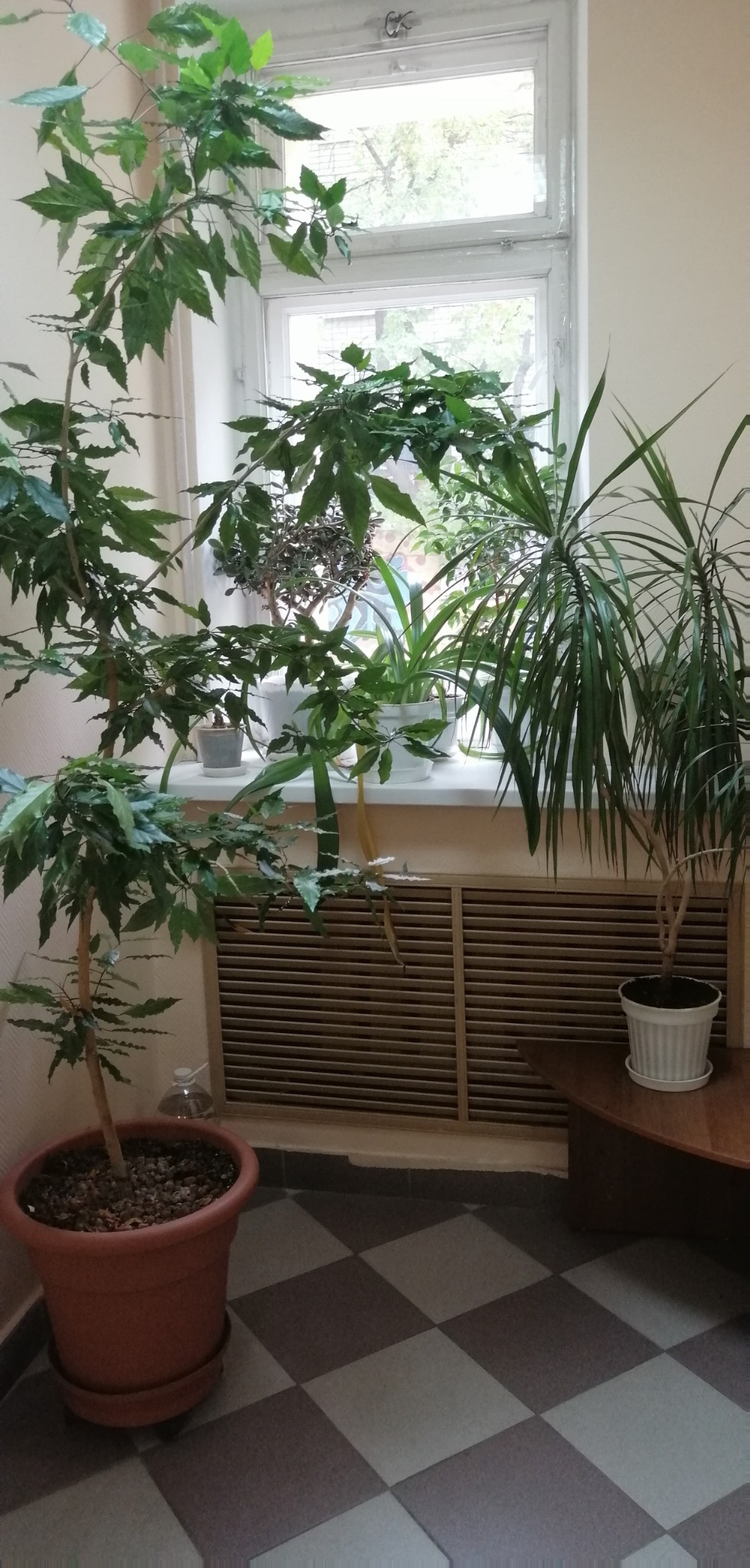 �����������