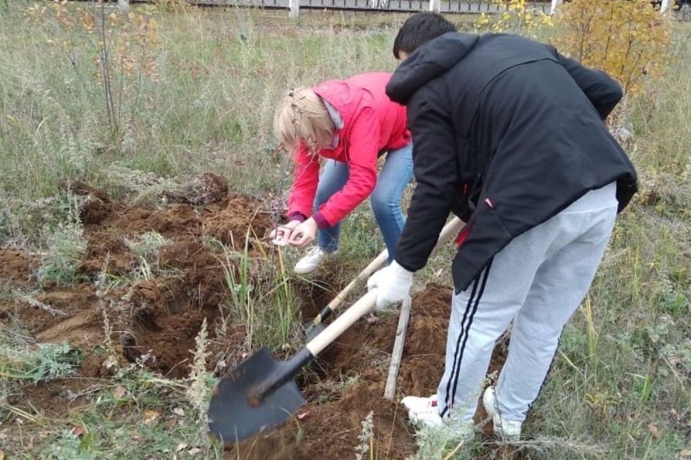 �������� ��������� ���� �� ���������� '���������������' �����