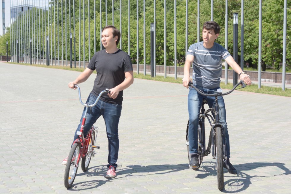 ������ ������������ ������ ������