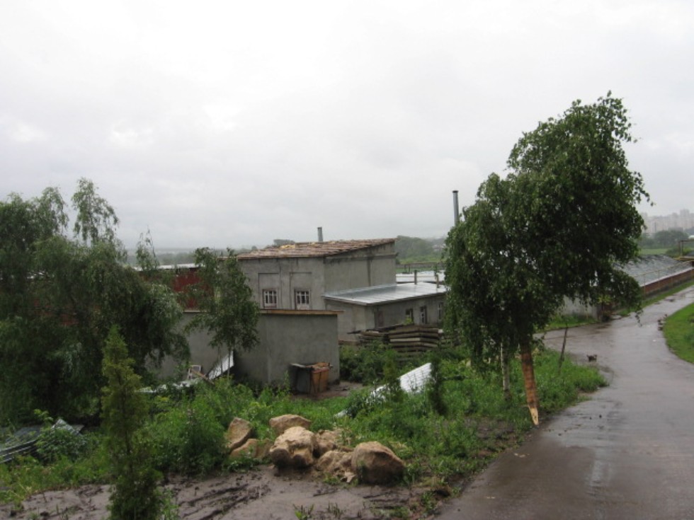 Ботанический сад К(П)ФУ Ботанический сад К(П)ФУ