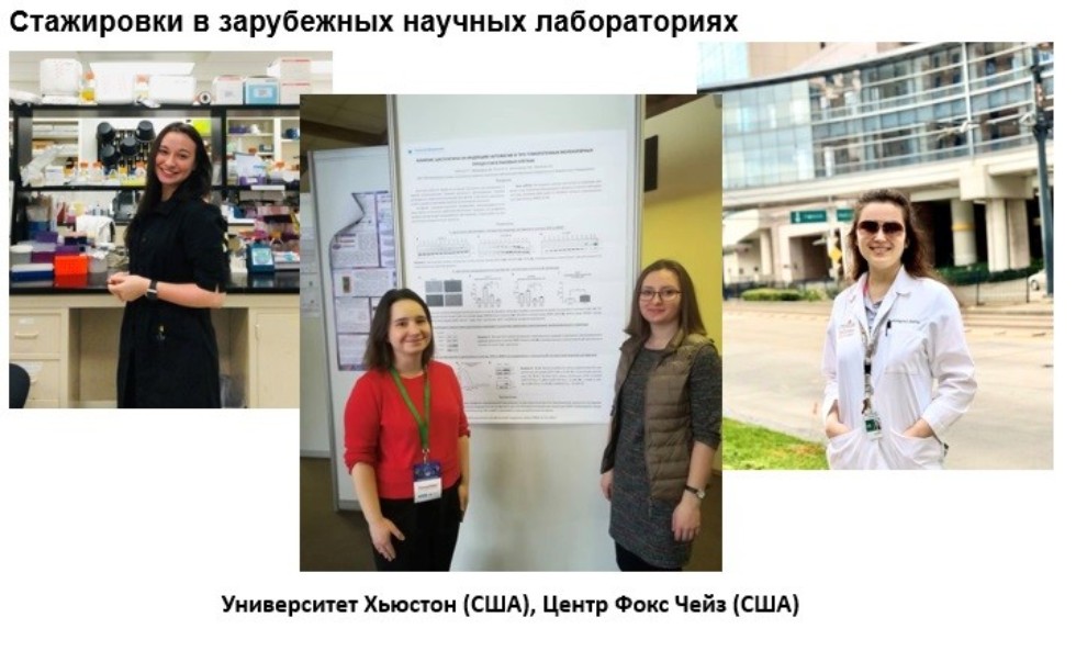 Международное сотрудничество Международное сотрудничество